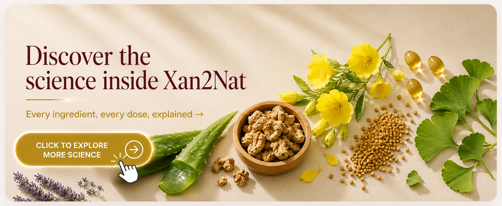 Discover the science inside Xan2Nat -- every ingredient, every dose, explained